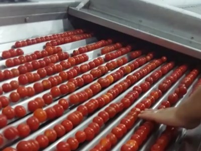 ceri-domates-dograma-ikiye-bolme